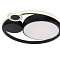 Arte Lamp A2690PL-1BK