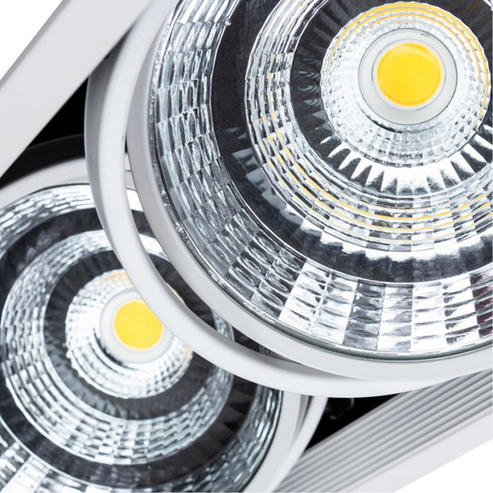 Спот Arte Lamp A8450PL-2WH
