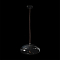 Светильник LOFT IT 8134-D
