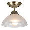 Светильник Citilux CL417013
