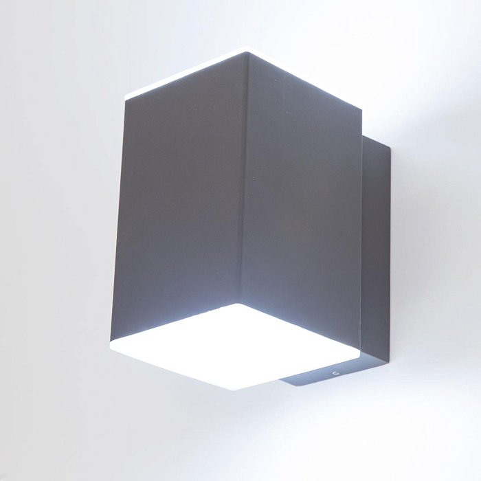 Уличный светильник Citilux CLU0002