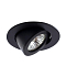 Светильник Arte Lamp A4009PL-1BK