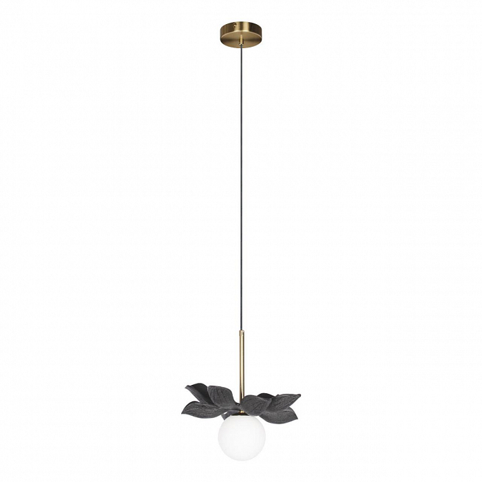 Светильник LOFT IT 10213/B Black