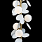 Торшер LOFT IT 10008F white