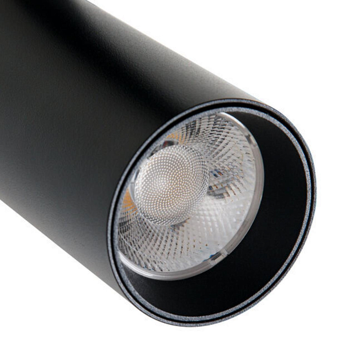 Arte Lamp A1946PL-1BK