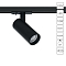 Arte Lamp A1945PL-1BK