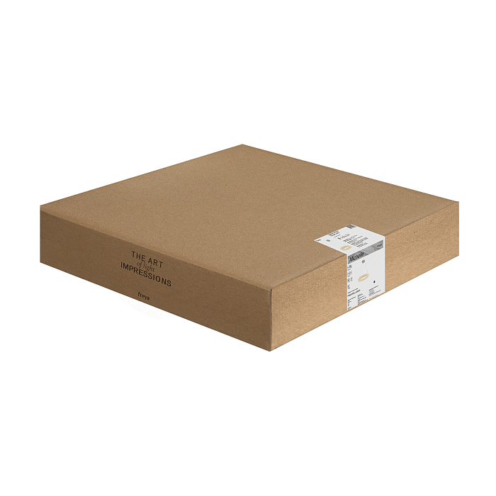 Freya FR5519PL-L60CH